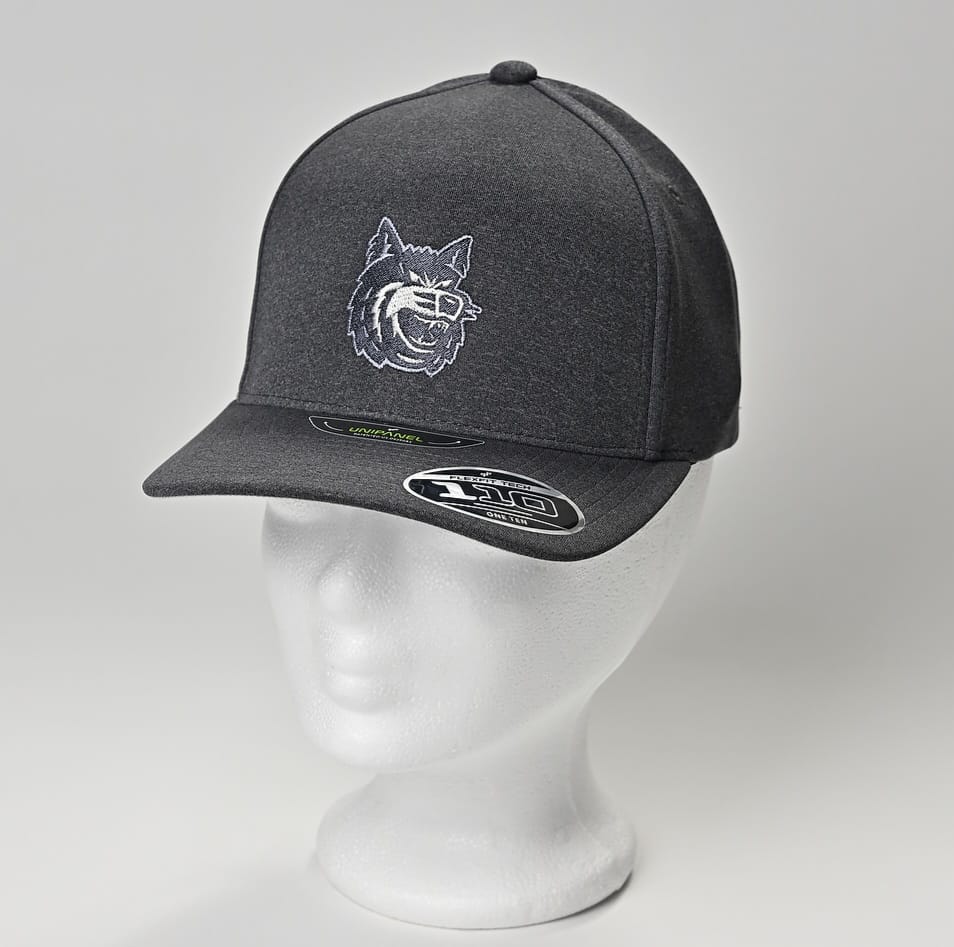 Cap ~ Flexfit dark