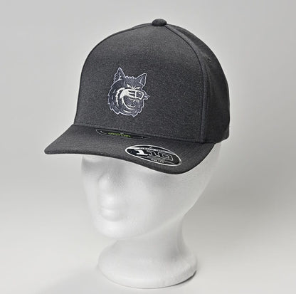 Cap ~ Flexfit dark
